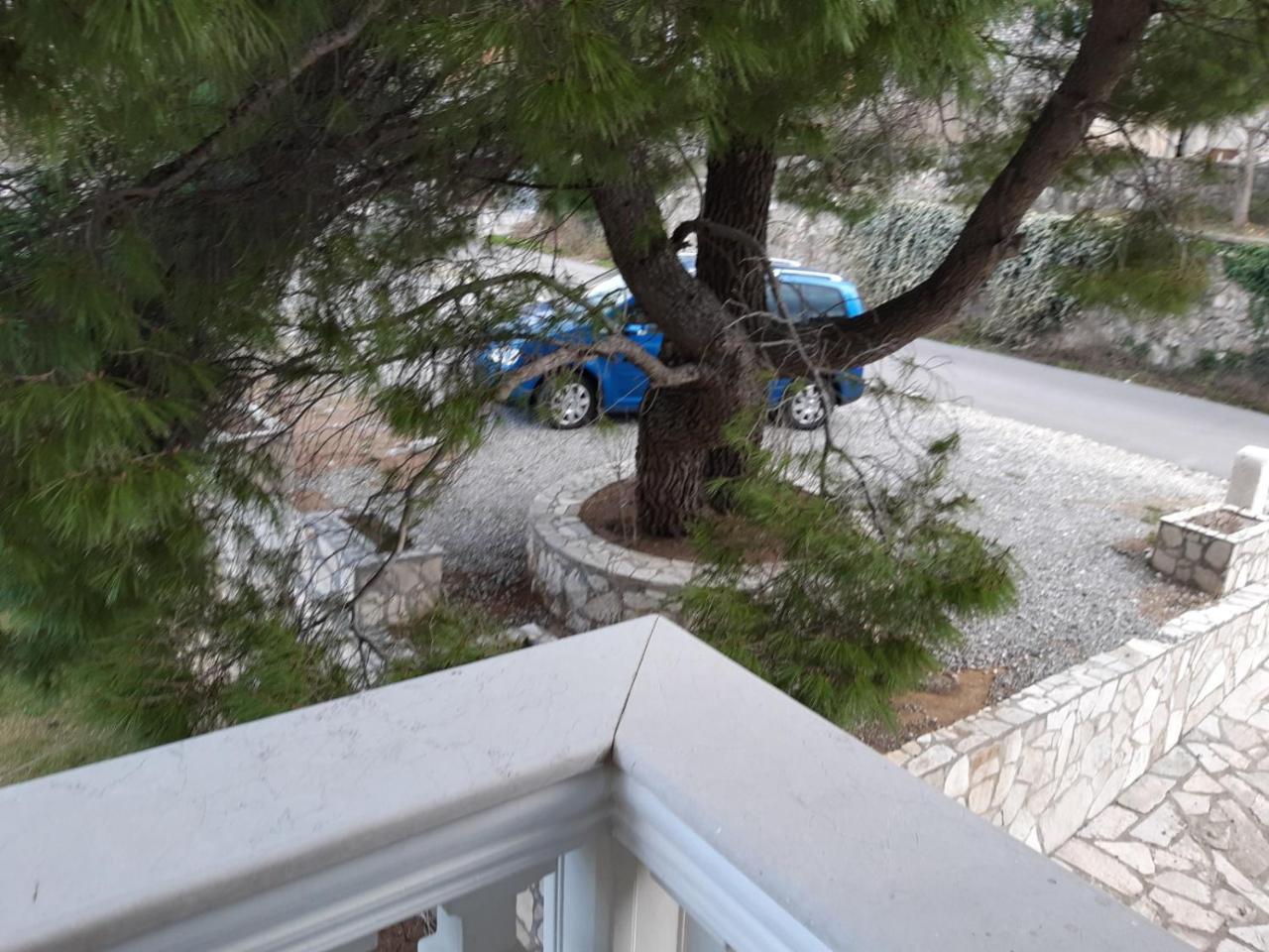Vila Oaza Markovici Μπούντβα Εξωτερικό φωτογραφία